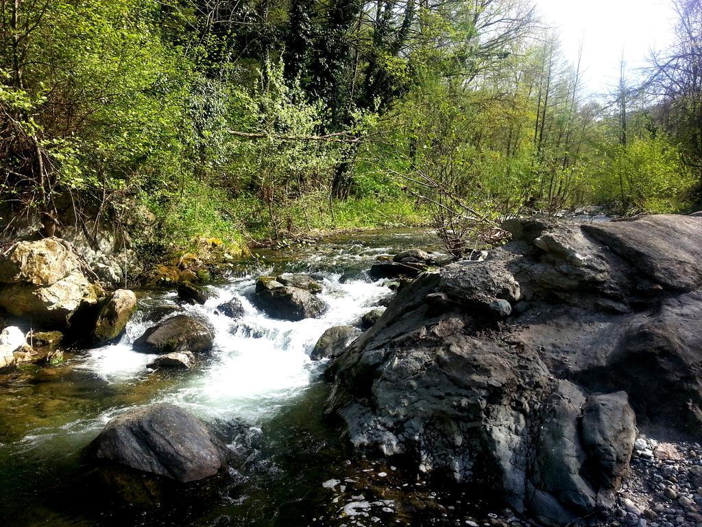 Cascina Ciosse B&B Grognardo ภายนอก รูปภาพ