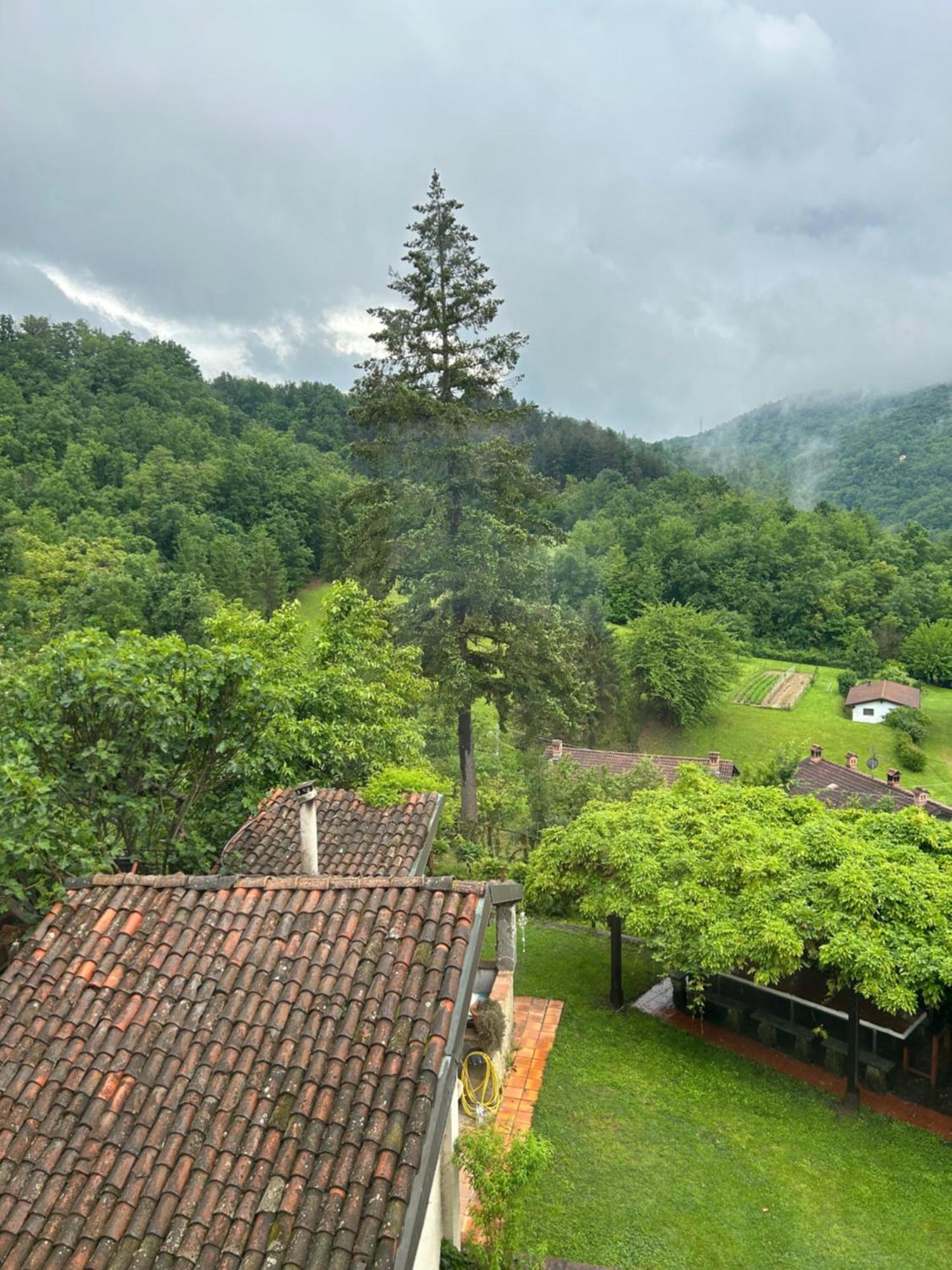 Cascina Ciosse B&B Grognardo ภายนอก รูปภาพ